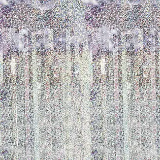 PartyPal Deurgordijn Folie Holografisch Zilver - 2,5(H)x1(B)cm