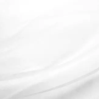 PartyPal Gladde Witte Organza