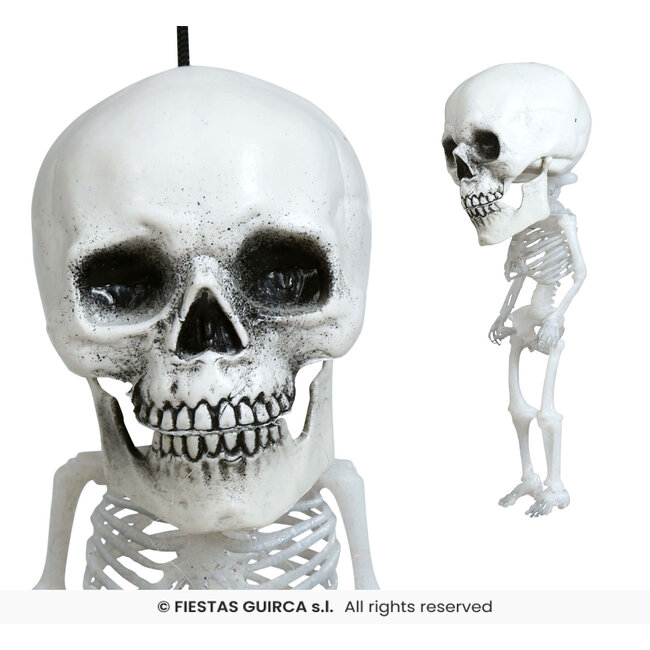 Hanging Big Head Skeleton - 15 cm