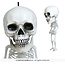 Hanging Big Head Skeleton - 15 cm