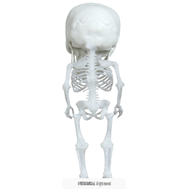 Hanging Big Head Skeleton - 15 cm