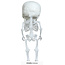 Hanging Big Head Skeleton - 15 cm