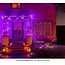 Raam Banners Gotisch - 102x213cm