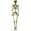 Decoratie Skelet - Goud - 90cm