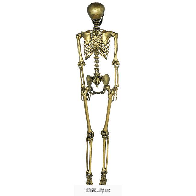 Decoratie Skelet - Goud - 90cm