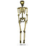 Decoratie Skelet - Goud - 90cm