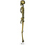 Decoratie Skelet - Goud - 90cm