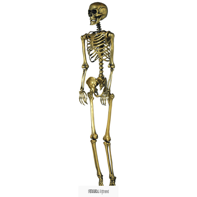 Decoratie Skelet - Goud - 90cm