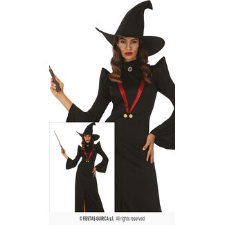 Guirca Wicked Witch