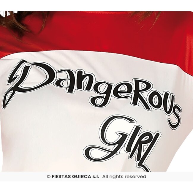 Harley Quinn Crazy Dangerous