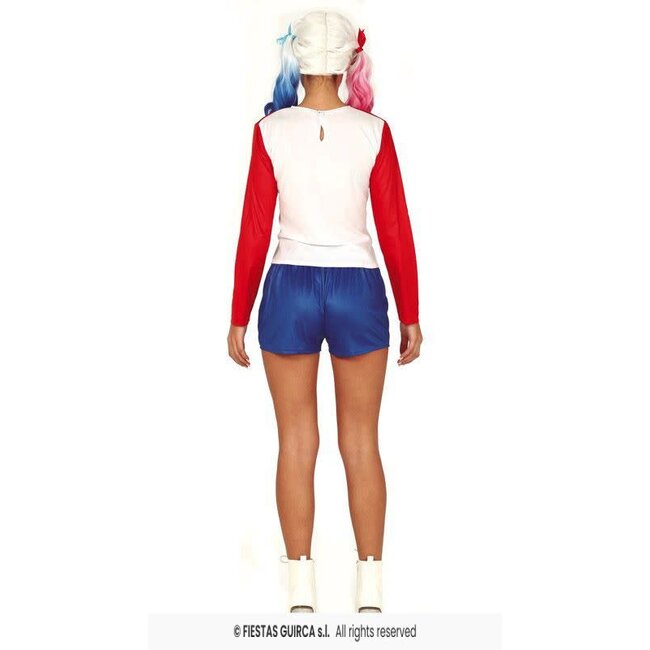 Harley Quinn Crazy Dangerous