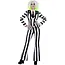 Beetlejuice Suit
