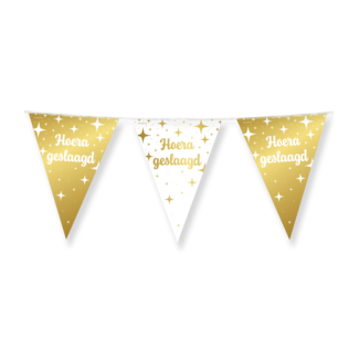 Paperdreams Vlaggenlijn Fancy Party - Geslaagd - 10 mtr