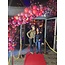 Sempertex Organic Ballondecoratie