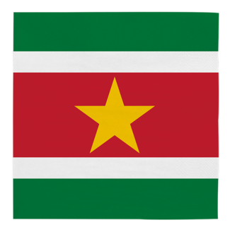 Globos Servetten Suriname - 33x33cm - 20 stuks