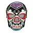 Gezichtsmasker Day of the Dead Deluxe