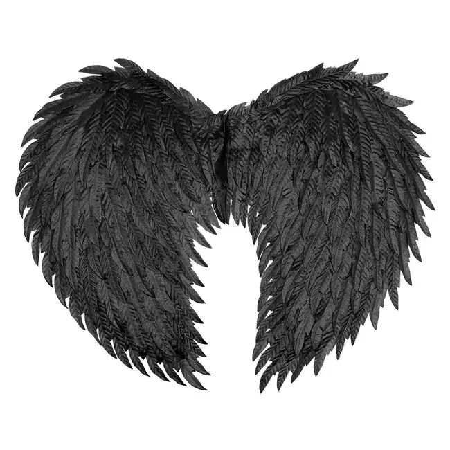 Engelen Vleugels Aniela Zwart - 55 x 40 cm