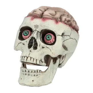 Boland Schedel Brain-Dead met Beweegbare Kaak - 18 x 13 x 15 cm