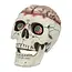 Schedel Brain-Dead met Beweegbare Kaak - 18 x 13 x 15 cm