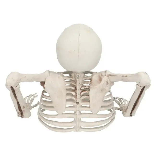Skelet Groundbreaker - 20 cm