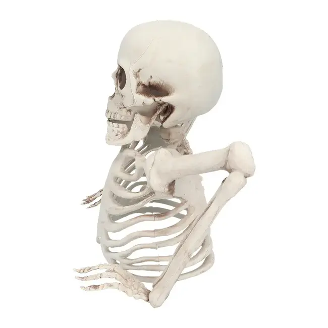 Skelet Groundbreaker - 20 cm
