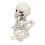 Skelet Groundbreaker - 20 cm