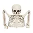 Skelet Groundbreaker - 20 cm