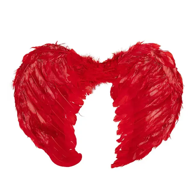 Set Duivel Rood - Diadeem Halo en Vleugels