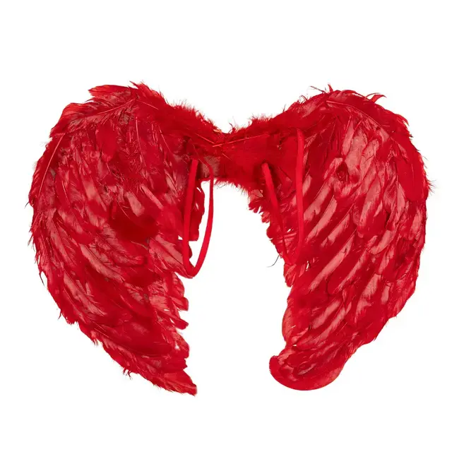 Set Duivel Rood - Diadeem Halo en Vleugels