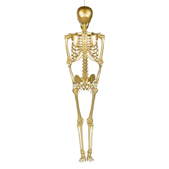 Decoratie Skelet Goud - 160cm