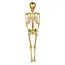 Decoratie Skelet Goud - 160cm