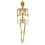 Decoratie Skelet Goud - 160cm