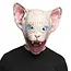 Latex Hoofd Masker Horror Cat