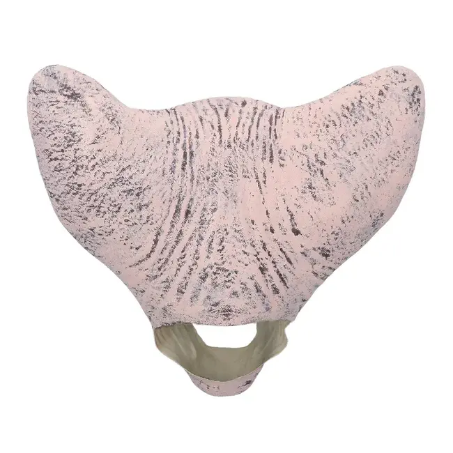 Latex Hoofd Masker Horror Cat