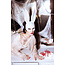 Gel Raam Stickers "Bloody Hands" - ? cm