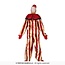 Striped Clown - Adult