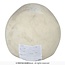 Foam Schedel – 22 cm