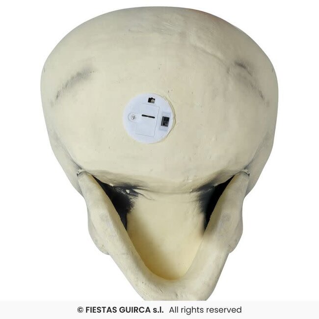 Foam Schedel – 32 cm