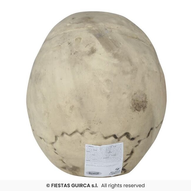 Foam Schedel – 32 cm