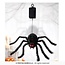 Fiesta Bewegende Spin met Licht en Geluid - 80 cm