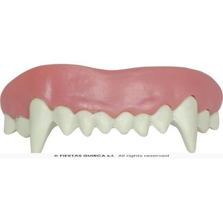 Guirca Vampire Tanden HQ met Thermoplastische Hars