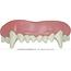 Guirca Vampire Tanden HQ met Thermoplastische Hars
