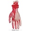 Bloederige Hand - 20cm