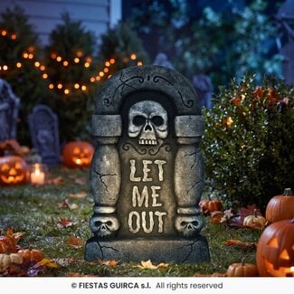 Fiesta Grafsteen Let me Out - 42 x 26 cm