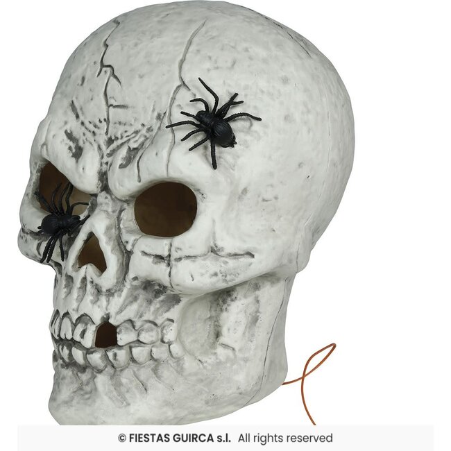 Schedel met Spinnen en Licht - pvc - 35 cm