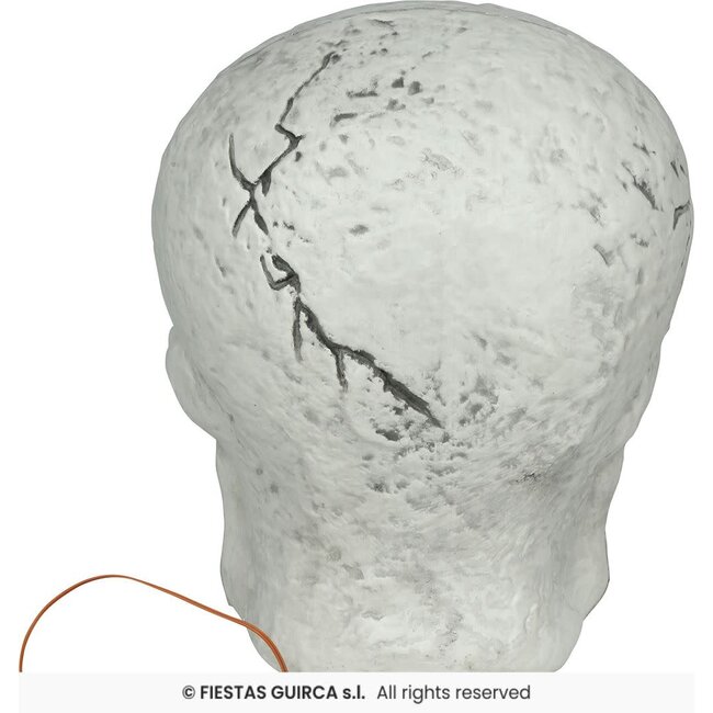 Schedel met Spinnen en Licht - pvc - 35 cm
