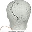 Schedel met Spinnen en Licht - pvc - 35 cm