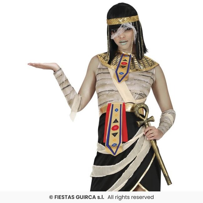 Egyptische Mummie Koningin