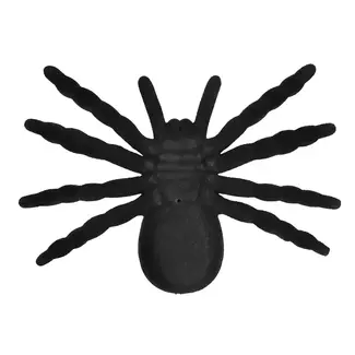 Boland Spin Tarantula - 16x11cm