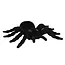 Spin Tarantula - 16x11cm